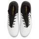 Nike Phantom Luna 2 Academy FG/MG